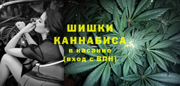 ешки Ладушкин