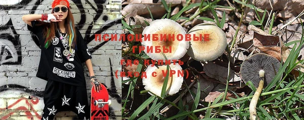 ешки Ладушкин