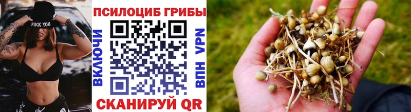 Галлюциногенные грибы ЛСД  Купить закладки  Благовещенск 